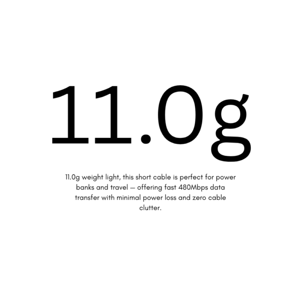USB-C to USB-C 5A Cable | 20cm long | For portable applications - Image 3